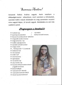 PAtkós Andrea kampány